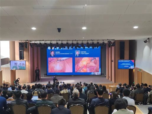 495239252 https://mmbiz.qpic.cn/mmbiz_jpg/n03pW0lBxqX7SLDXE5GFHSCNWiaM6CvDqda33ECb853IhBVLUudNRWlWKt1LY2JU2eicOfGqNK0CbibTGDnReHqdw/640?wx_fmt=jpeg